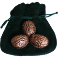 Copper Shells (Antique Copper)