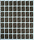 Run Playing Cards: Bankroll Edition (Uncut Sheet)