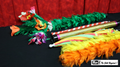 Giant Feather Fantasy by Mr. Magic