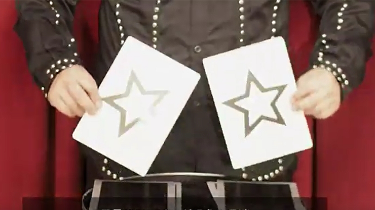 Marked Jumbo ESP Cards (Black) by Tejinaya Magic