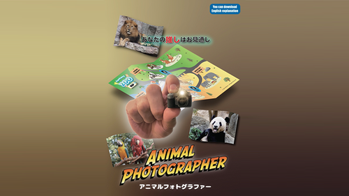 Animal photographer