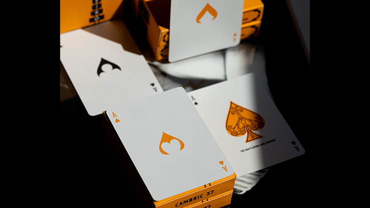 ACE FULTON'S CASINO V3 PLAYING CARDS