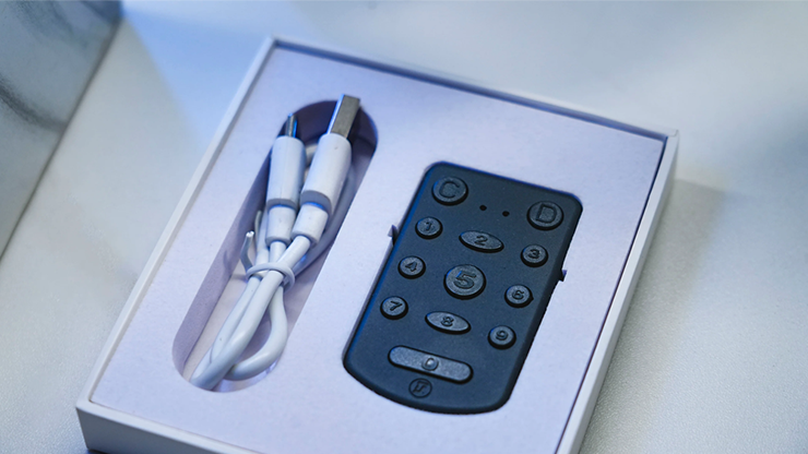 PITATA Palm Remote