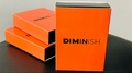 Diminish by Damian Surr