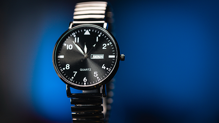 Standard R.W.W. Left Hand (Ben Seidman's Ring Watch Wonder)