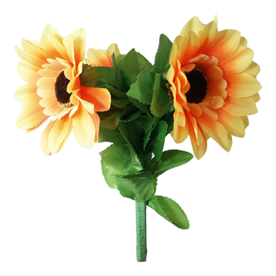 Amazing Split Sunflower by Premium Magic