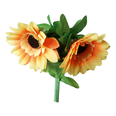 Amazing Split Sunflower by Premium Magic