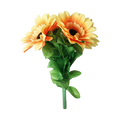 Amazing Split Sunflower by Premium Magic