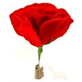 Match to Rose by Mr. Magic