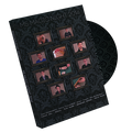 MS Magic Night 2014 Presented by Yoann - DVD