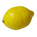 Super Real Latex Lemon by Tejinaya Magic